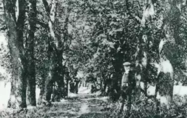 462892183_8458681230864858_886149576376477977_n