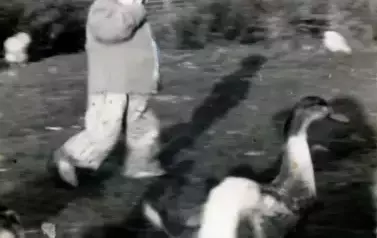 462860698_8458681944198120_4197961693463232156_n