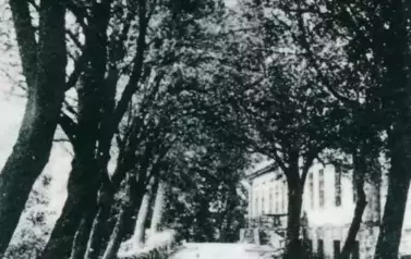 462860088_8458681237531524_4961875779578045437_n