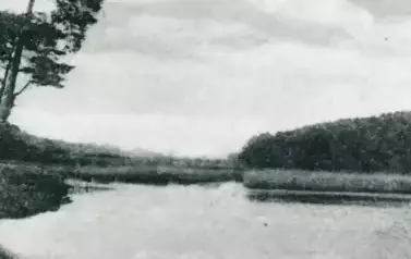 462843585_8458681220864859_2799373377394762909_n