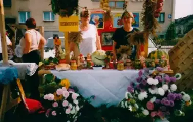 462740343_8458683470864634_4355448289737235195_n