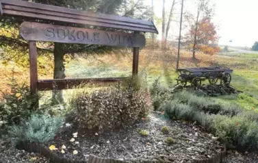 350671244_990069672188602_6555297564263607824_n