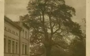 Wyczechy-pałac-poczta-Łoża-gm.-Człuch&oacute;w