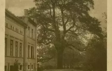 wyczechy_galeria_04-4386de58