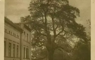 270302705_257975393069032_1781846913236344923_n