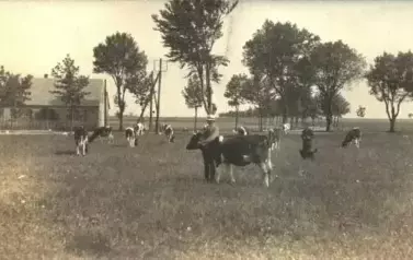 270291821_258008483065723_5262703059701544702_n