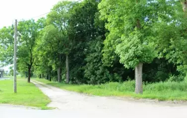 270288650_257975786402326_1714437254411458520_n