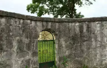 270287475_257975819735656_2939114171825974566_n