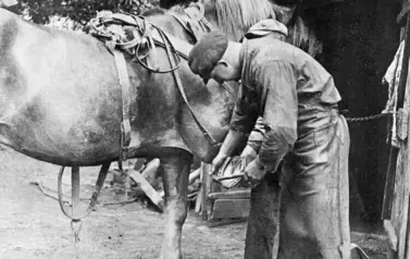 270278305_258008893065682_3425017397201051416_n