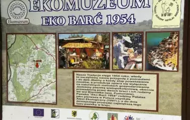 294694896_814606782860773_2036567021133539575_n