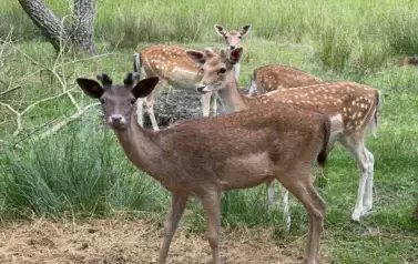 294653006_378654694406381_2349930318396158106_n