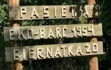 294598948_993440801297323_7249912710670704064_n