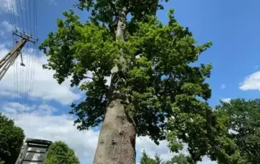 294298243_6035927796421998_4730691004823435614_n