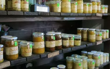 292229406_577546427202056_3793100598069287303_n