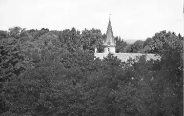Bincze (7)