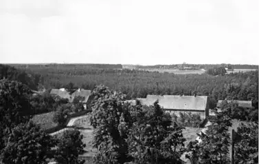 Bincze (5)