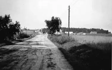 Bincze (4)