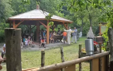 REM_2449 &mdash; kopia