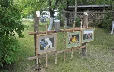 REM_2447 &mdash; kopia