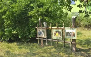 REM_2405 &mdash; kopia