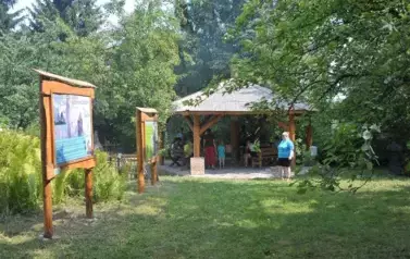 REM_2386 &mdash; kopia