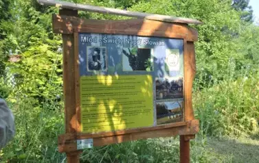 REM_2385 &mdash; kopia