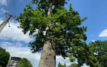 294298243_6035927796421998_4730691004823435614_n