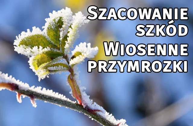 PRZYJMOWANIE WNIOSK&Oacute;W O SZACOWANIE STRAT W UPRAWACH SPOWODOWANYCH PRZYMROZKAMI WIOSENNYMI.
