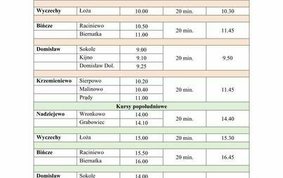 Zdjęcie do Informacja o rozkładzie gminnego przewozu pasażerskiego dla wyborc&oacute;w. Czarne