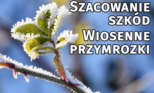 PRZYJMOWANIE WNIOSKÓW O SZACOWANIE STRAT W UPRAWACH SPOWODOWANYCH PRZYMROZKAMI WIOSENNYMI.